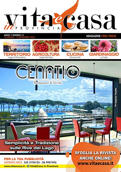 Cenatio - Semplicità e Tradizione sulle Rive del Lago